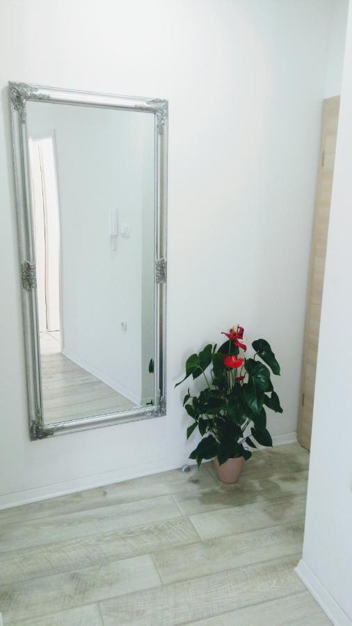 Apartment Davorka マカルスカ エクステリア 写真