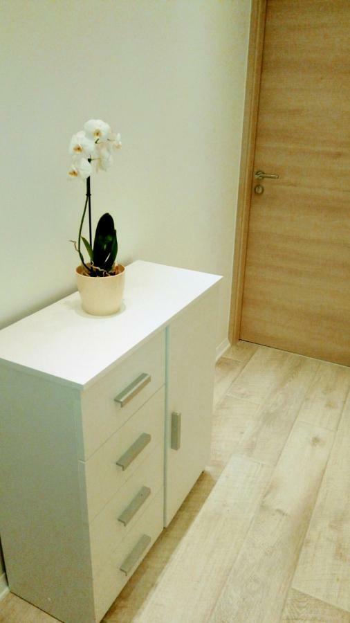 Apartment Davorka マカルスカ エクステリア 写真
